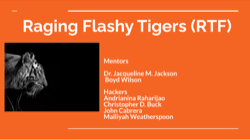 Raging Flashy Tigers